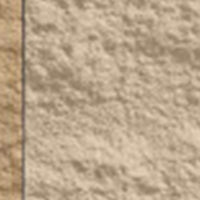 Warm Beige